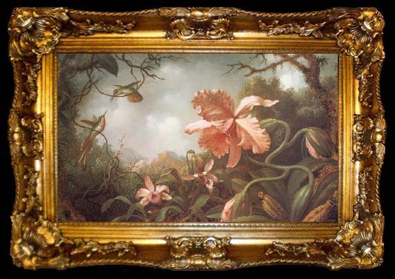 framed  Martin Johnson Heade The Hummingbirds and Two Varieties of Orchids, ta009-2